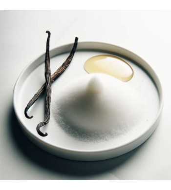 Large bougie Vanille et sel marin  crépitante Woodwick chez Arti'zen image olfactive