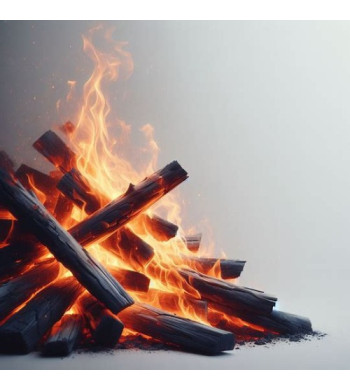 Large bougie Feu de bois crépitante Woodwick chez Arti'zen image olfactive de bois qui brûle